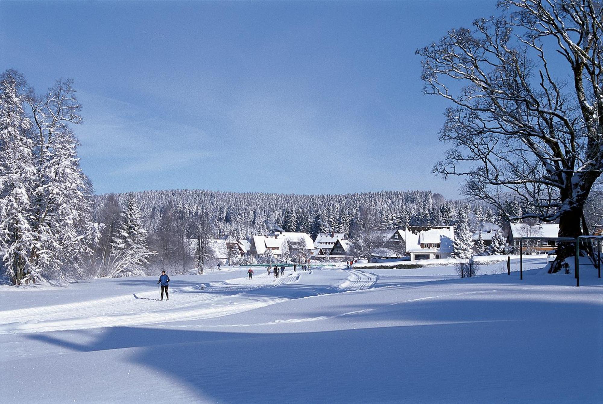 Drei Tannen - Wohnung 04 - Apartmenthaus, Titisee, Nahe Badeparadies Eksteriør billede