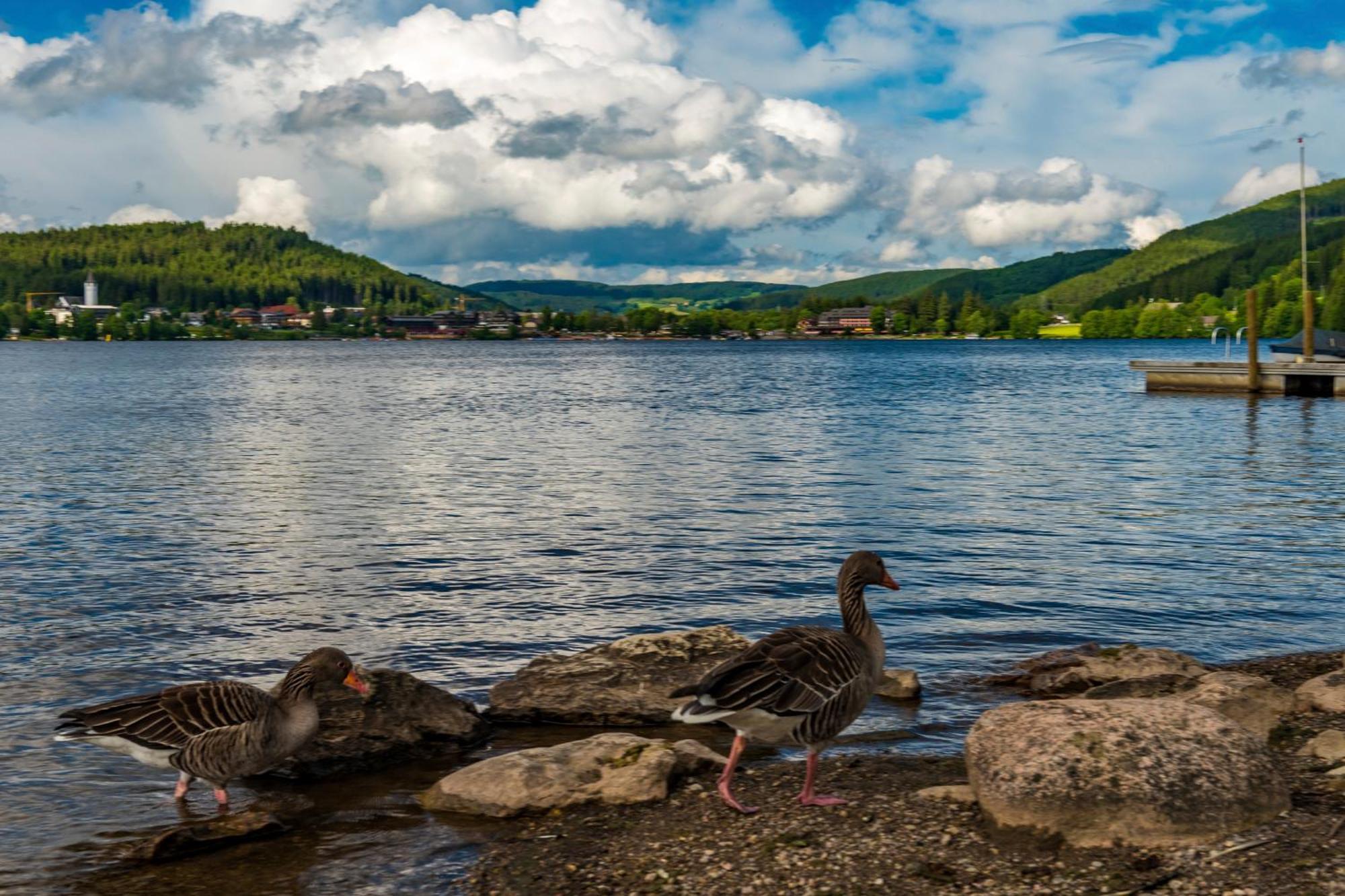 Drei Tannen - Wohnung 04 - Apartmenthaus, Titisee, Nahe Badeparadies Eksteriør billede