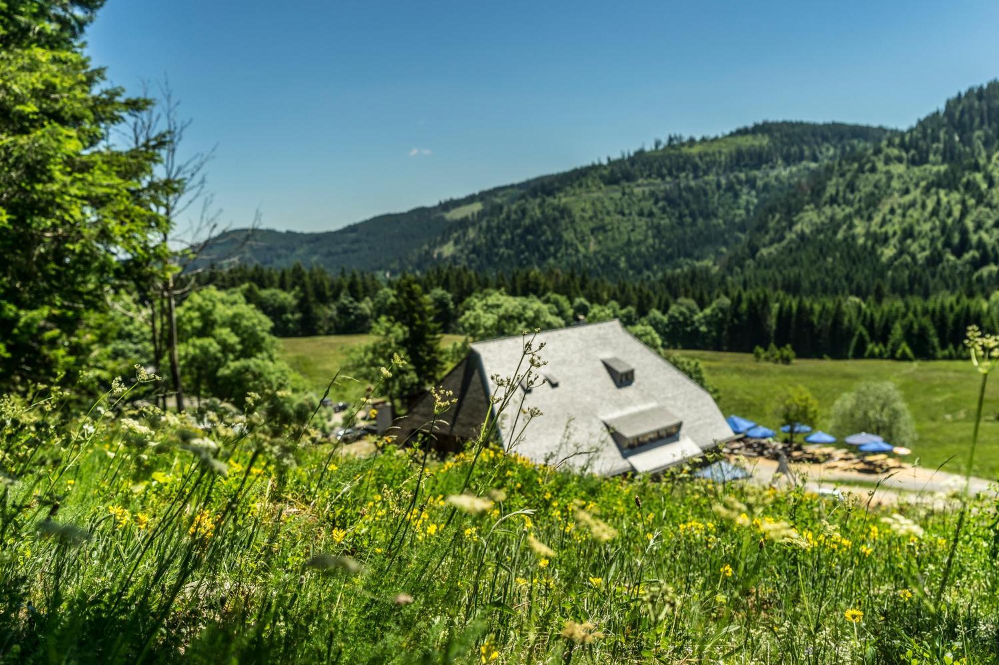 Drei Tannen - Wohnung 04 - Apartmenthaus, Titisee, Nahe Badeparadies Eksteriør billede