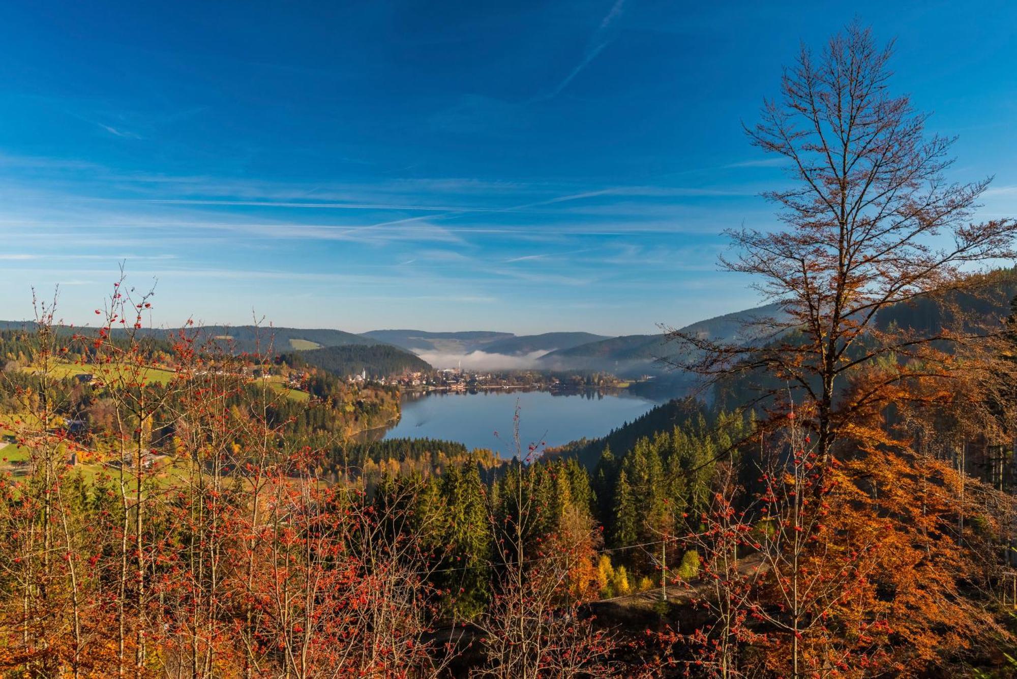 Drei Tannen - Wohnung 04 - Apartmenthaus, Titisee, Nahe Badeparadies Eksteriør billede